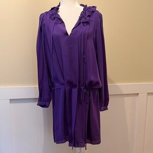 Silk BCBG MaxAzria Dress